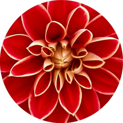 Slipmat Flower